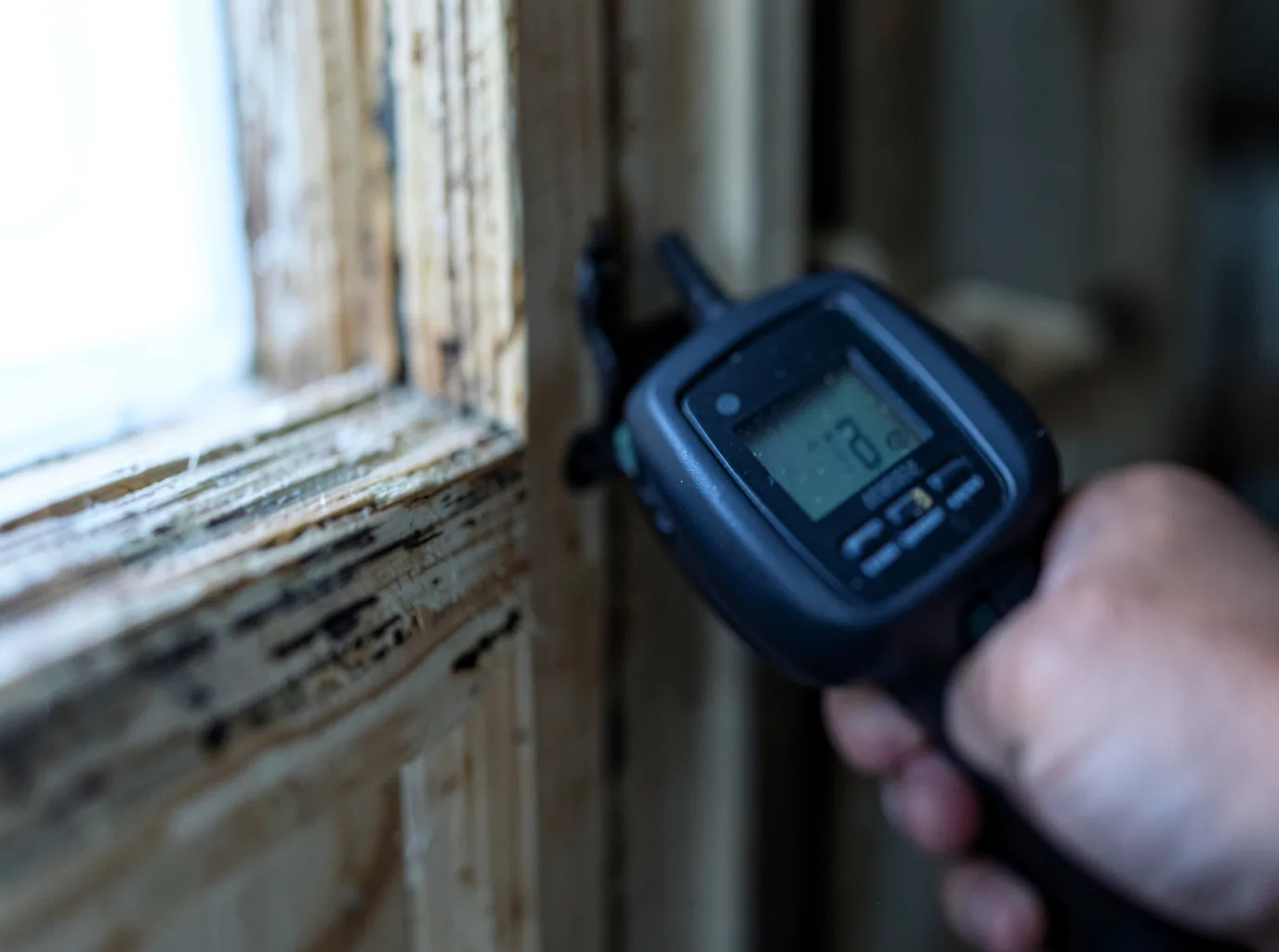 Moisture Inspection And Documentation in Coleraine, MN